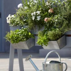 Blooma Rural Argent Metal Rectangular Trough -Flyymo Care Garden Shop blooma rural argent metal rectangular trough3663602733911 02bq