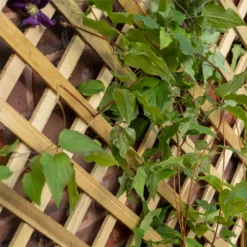 Forest Garden Trellis Natural Timber Rectangular Planter (H) 137cm X (W) 80cm 6 Forest Garden Trellis Natural Timber Rectangular Planter (H) 137cm X (W) 80cm -Flyymo Care Garden Shop forest garden trellis natural timber rectangular planter h 137cm x w 80cm5013053190616 02i