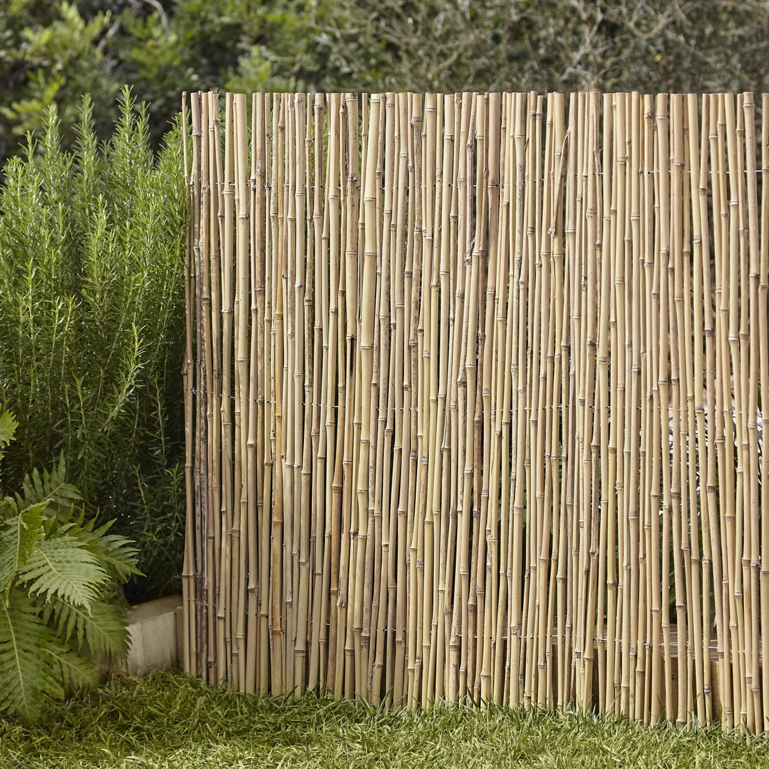 Garden Screen (H)1.5m (W)3m 2 Garden Screen (H)1.5m (W)3m - Image 2