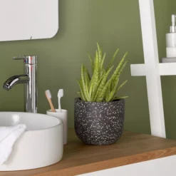 GoodHome Charcoal Speckled Circular Plant Pot (Dia)16.2cm 5 GoodHome Charcoal Speckled Circular Plant Pot (Dia)16.2cm -Flyymo Care Garden Shop goodhome charcoal speckled circular plant pot dia 16 2cm3663602441588 01i bq