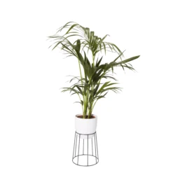 GoodHome Metal Pot Stand -Flyymo Care Garden Shop goodhome metal pot stand3663602442387 21c bq