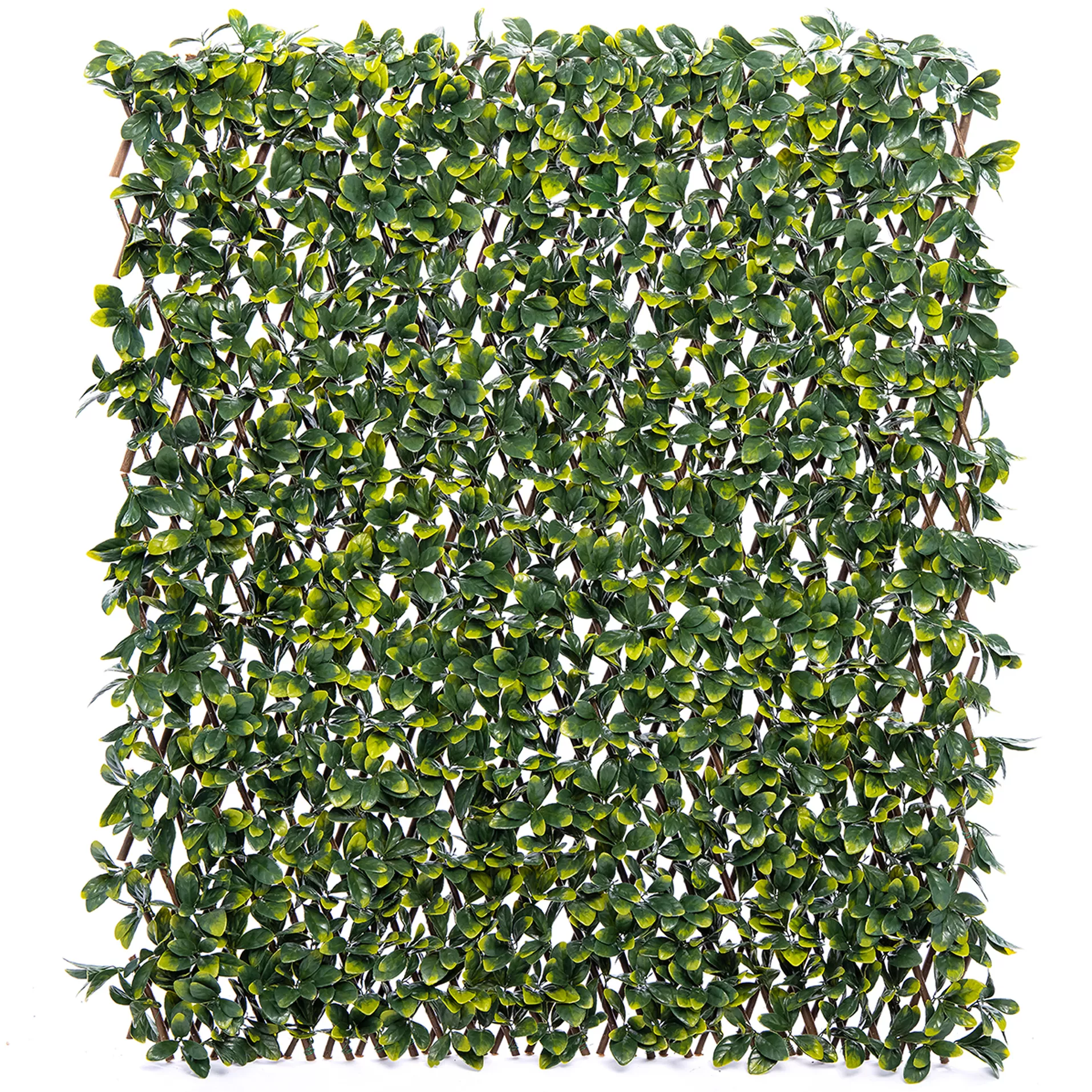 Klikstrom Extensible Fence With Bayberry Leaves Square Artificial Plant Wall, (H)1m (W)2m 1 Klikstrom Extensible Fence With Bayberry Leaves Square Artificial Plant Wall, (H)1m (W)2m