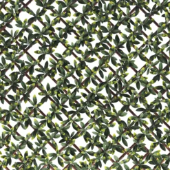 Klikstrom Extensible Fence With Bayberry Leaves Square Artificial Plant Wall, (H)1m (W)2m 10 Klikstrom Extensible Fence With Bayberry Leaves Square Artificial Plant Wall, (H)1m (W)2m -Flyymo Care Garden Shop klikstrom extensible fence with bayberry leaves square artificial plant wall h 1m w 2m5059340671970 36c