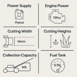 Mountfield SP185 139cc Petrol Rotary Lawnmower -Flyymo Care Garden Shop mountfield sp185 139cc petrol rotary lawnmower8008984856332 01t EN bq