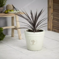 Verve Barcău Olive Ceramic Circular Plant Pot (Dia)32cm -Flyymo Care Garden Shop verve barcau olive ceramic circular plant pot dia 32cm5059340327785 01i