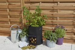 Verve Black Round Planter -Flyymo Care Garden Shop verve black round planter5059340329642 02i