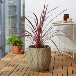 Verve Kulun Beige Knitted Effect Fibreclay Circular Plant Pot (Dia)29cm -Flyymo Care Garden Shop verve kulun beige knitted effect fibreclay circular plant pot dia 29cm5059340327693 01i