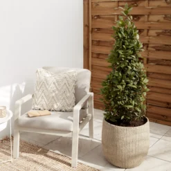 Verve Kulun Beige Knitted Effect Fibreclay Circular Plant Pot (Dia)46cm -Flyymo Care Garden Shop verve kulun beige knitted effect fibreclay circular plant pot dia 46cm5059340327679 01i