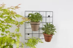 Verve Matt Black Metal Wall Rack -Flyymo Care Garden Shop verve matt black metal wall rack5059340327891 02i