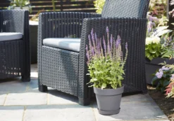 Verve Nurgul Peyote Rectangular Trough -Flyymo Care Garden Shop verve nurgul peyote rectangular trough5059340387949 22c